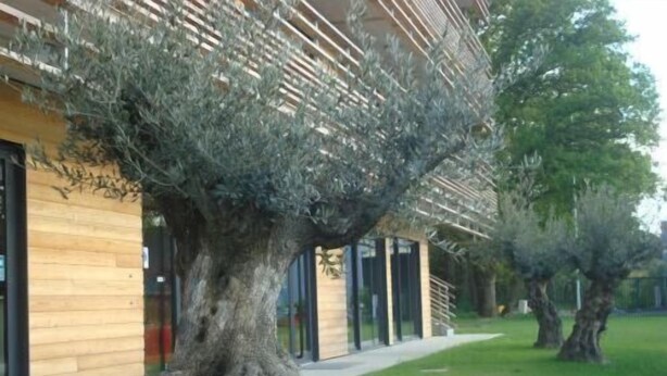 A modern building with a wooden facade and a pathway leading to a grassy area with trees. -  The Originals City, Hôtel Anaïade, Saint-Nazaire-Pornichet (Saint-Nazaire)