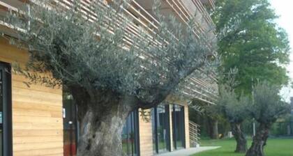 The Originals City, HĂŽtel AnaĂŻade