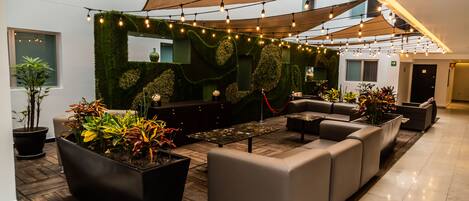 A modern lounge area with a sofa, a coffee table, and potted plants.
