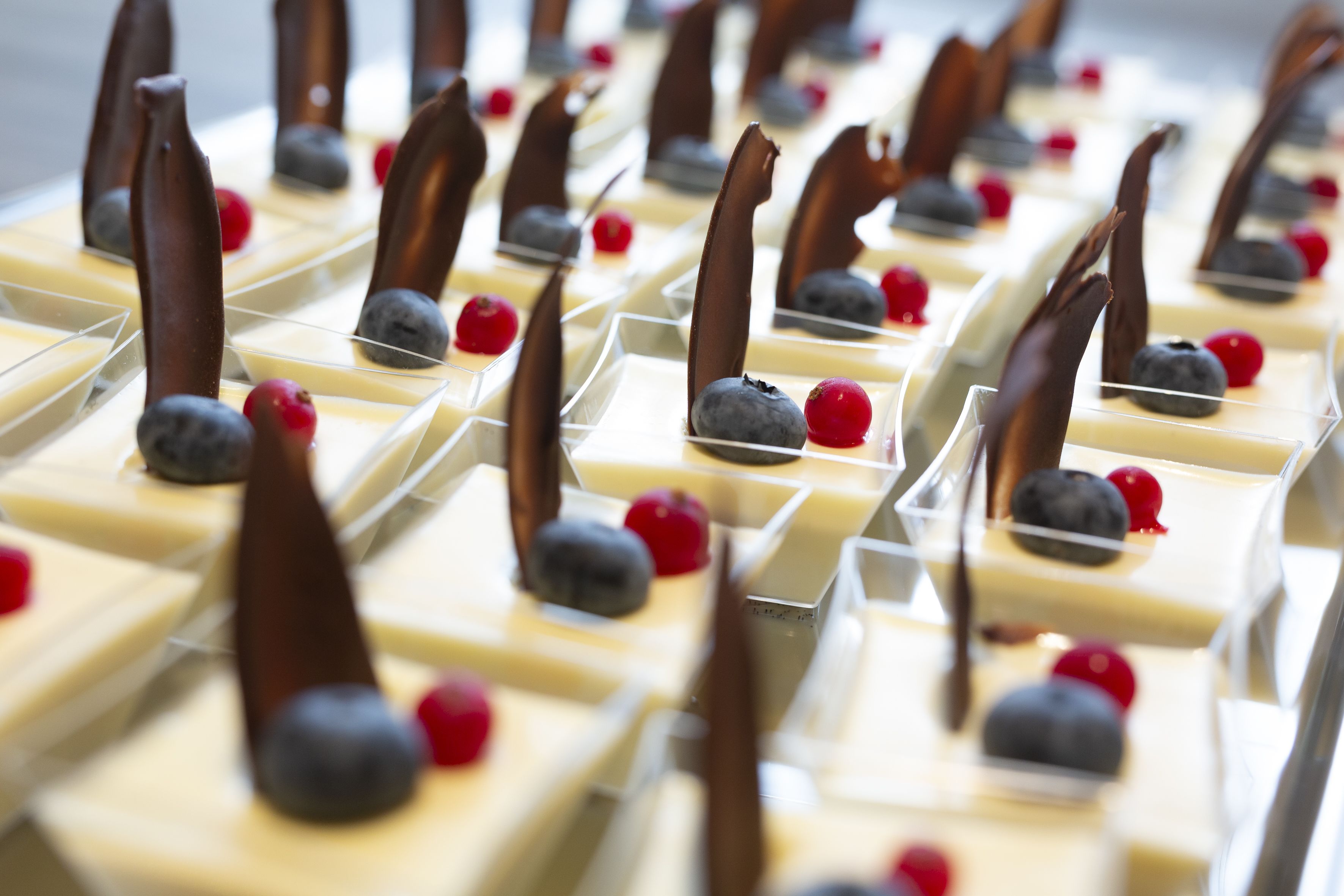 A dessert display with multiple square trays, each topped with a chocolate piece, blueberries, and red berries.