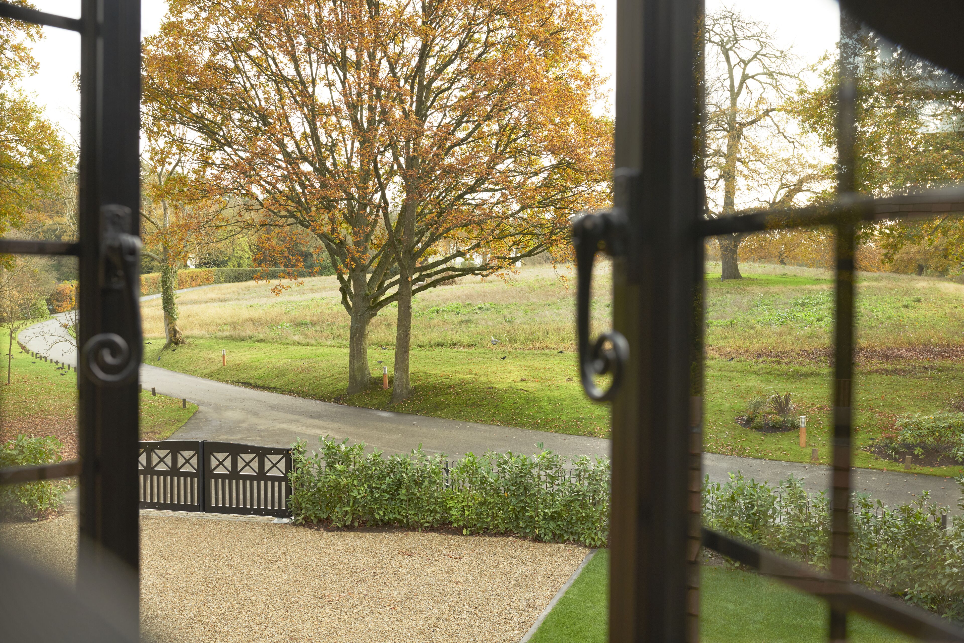 room (north lodge) | view from room