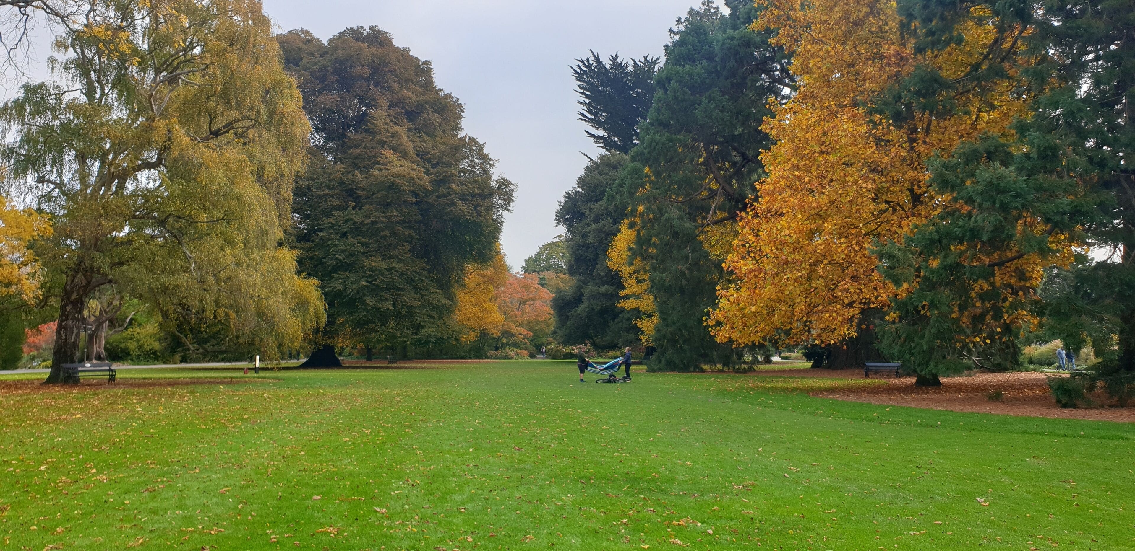 Un parc amb una zona verda, arbres amb fullatge d'octubre i una persona anant amb bicicleta.