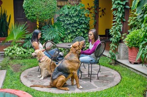Um pátio com uma mesa redonda e cadeiras, cercado por vegetação exuberante e plantas em vasos.