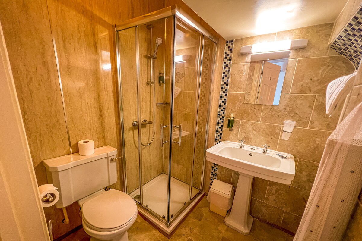 A bathroom with a glass-enclosed shower, a toilet, a sink, and a mirror.
