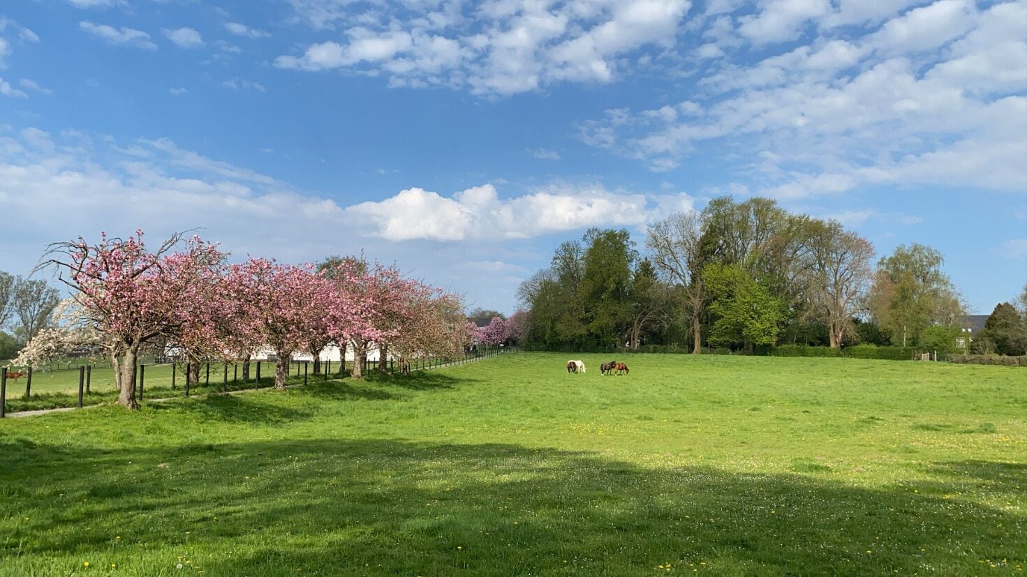 Foto - B&B Baron’s House Neerijse-Leuven