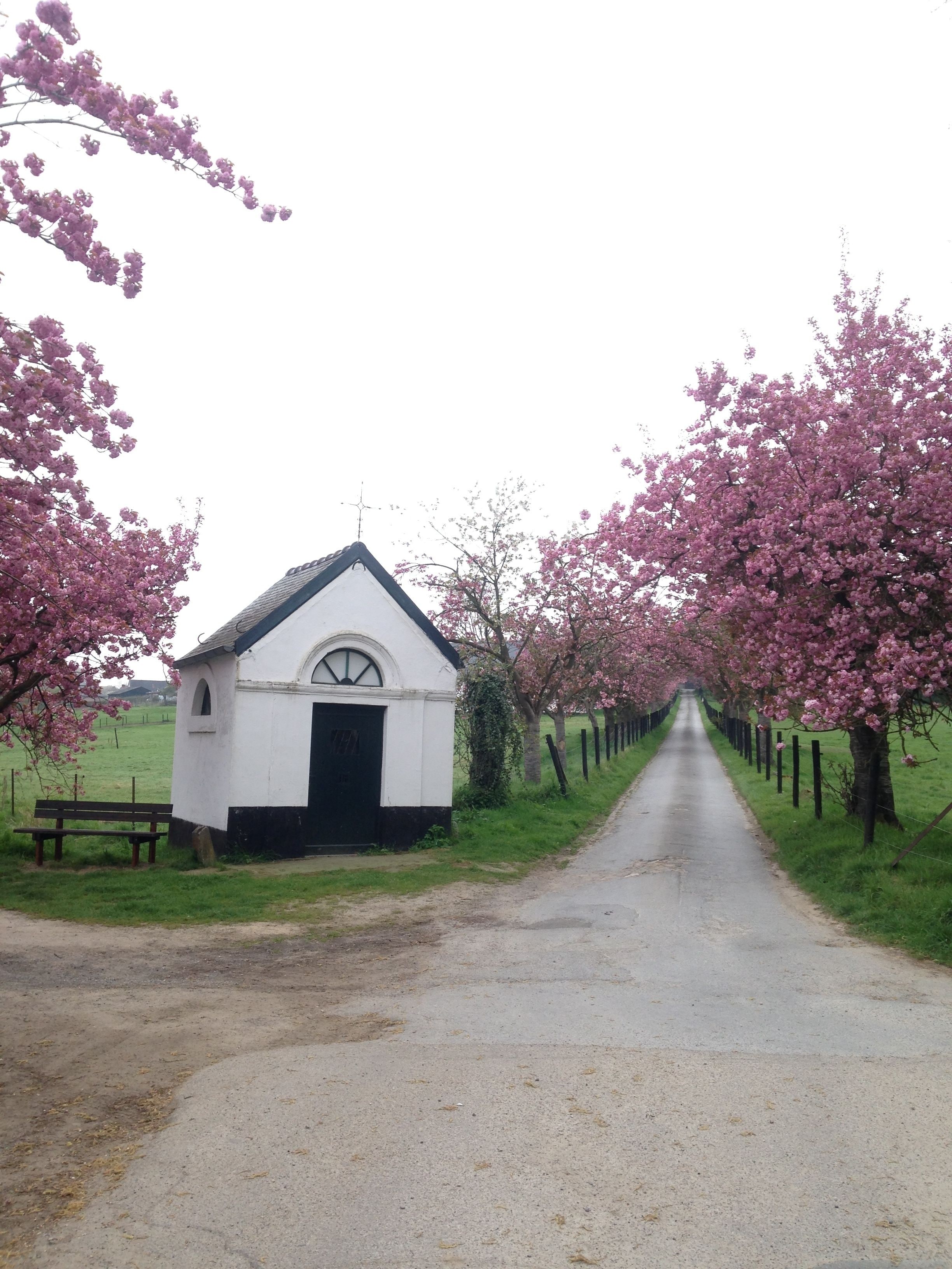 Foto - B&B Baron’s House Neerijse-Leuven