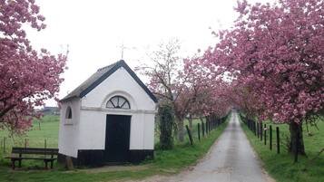 A white building with a black door and a small porch, surrounded by a fence and cherry blossom trees.