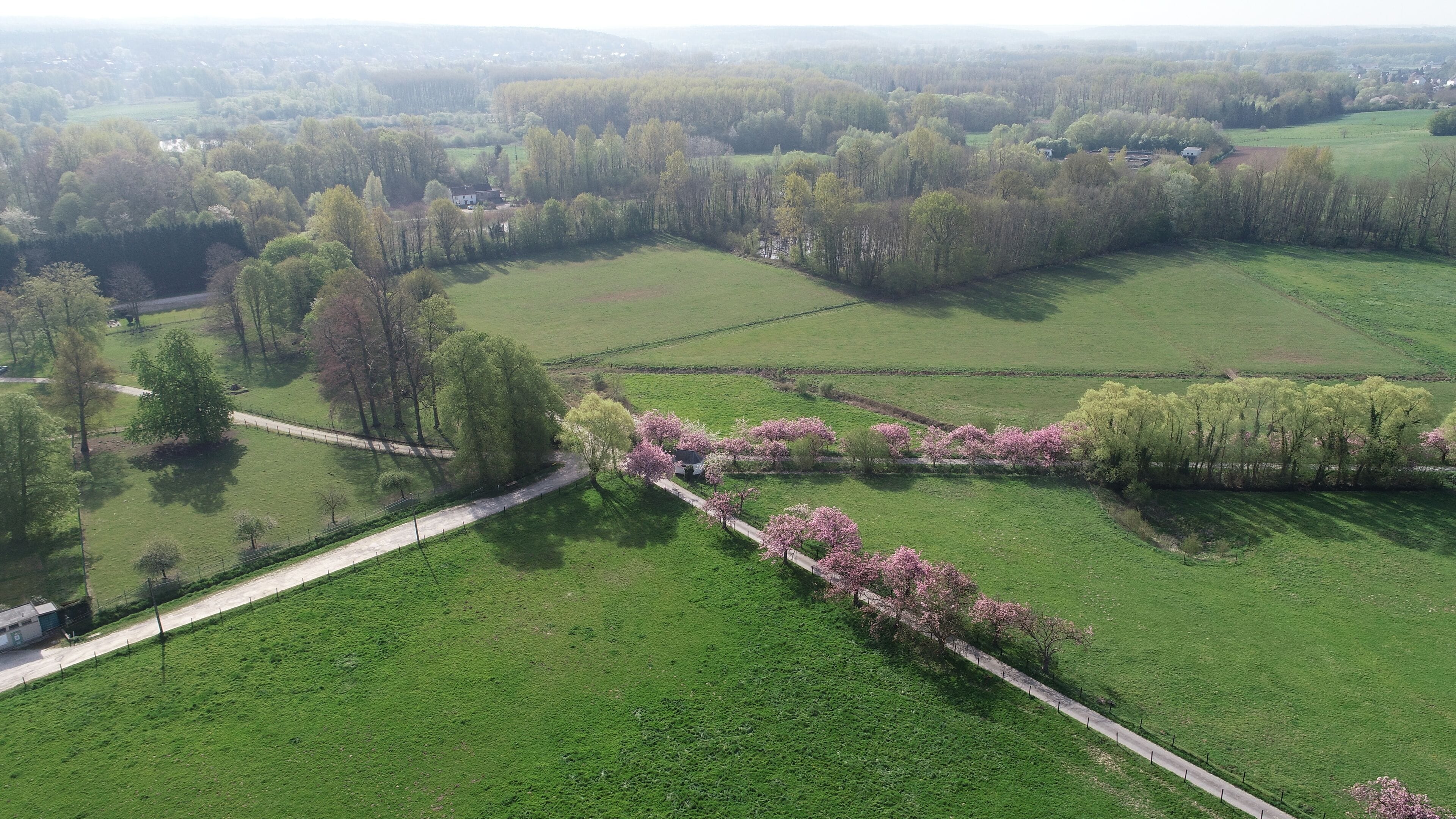 Foto - B&B Baron’s House Neerijse-Leuven