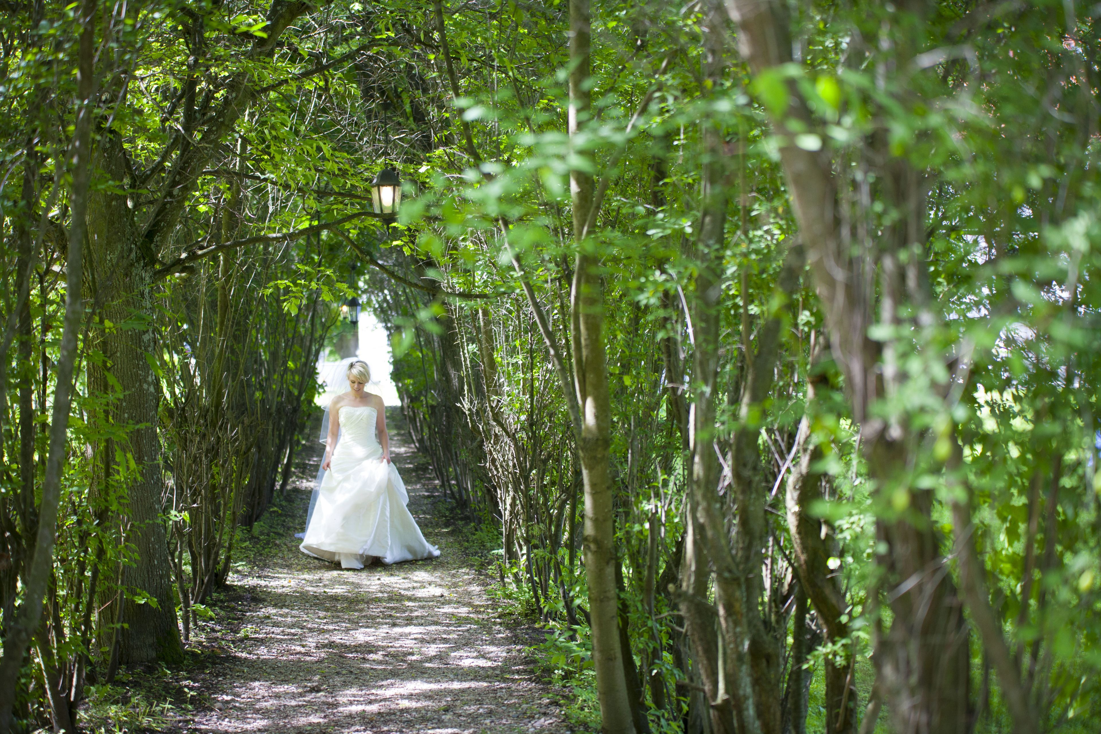 outdoor wedding area
