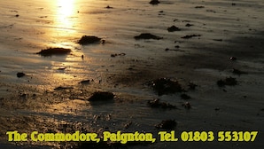 A beach scene at sunset with footprints and rocks. - The Commodore (Paignton)