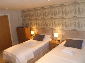 Superior Twin Room | Desk, iron/ironing board, free WiFi - Aquarium Guest House (Brighton)