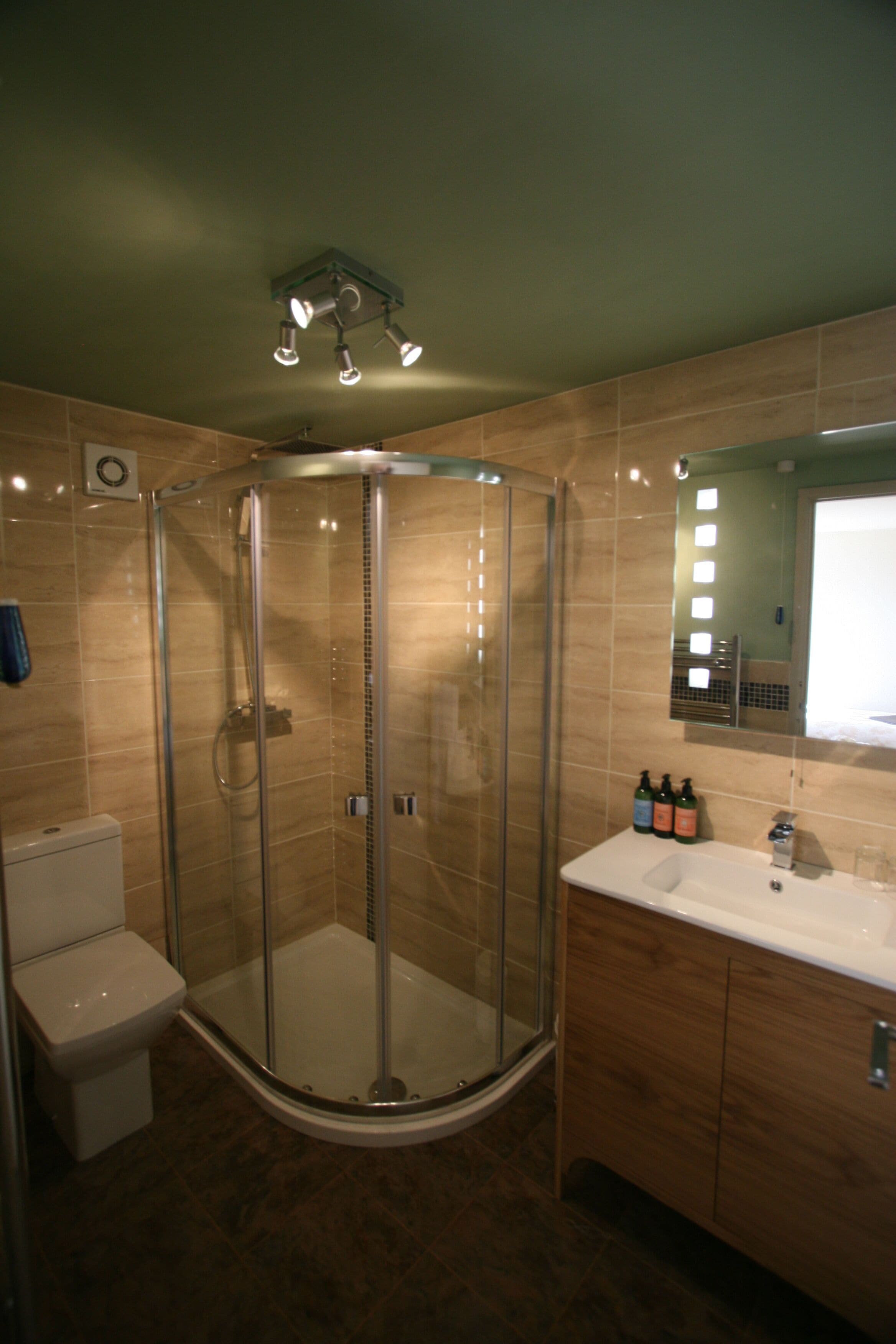 A modern bathroom with a glass-enclosed shower, a toilet, a sink with a mirror, and wooden cabinets.