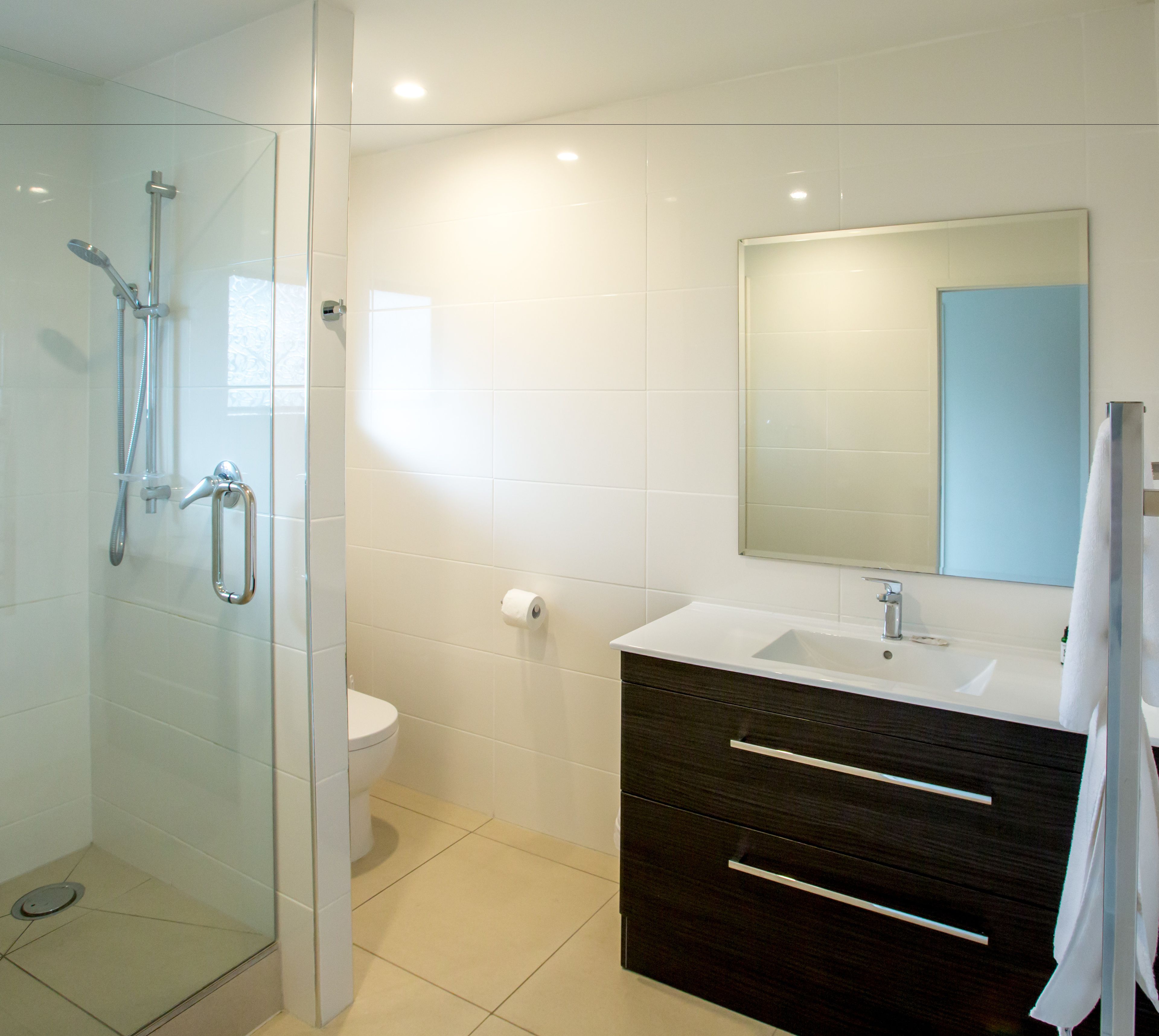 A modern bathroom with a glass shower enclosure, a white toilet, a dark wooden vanity with a mirror, and a white sink.
