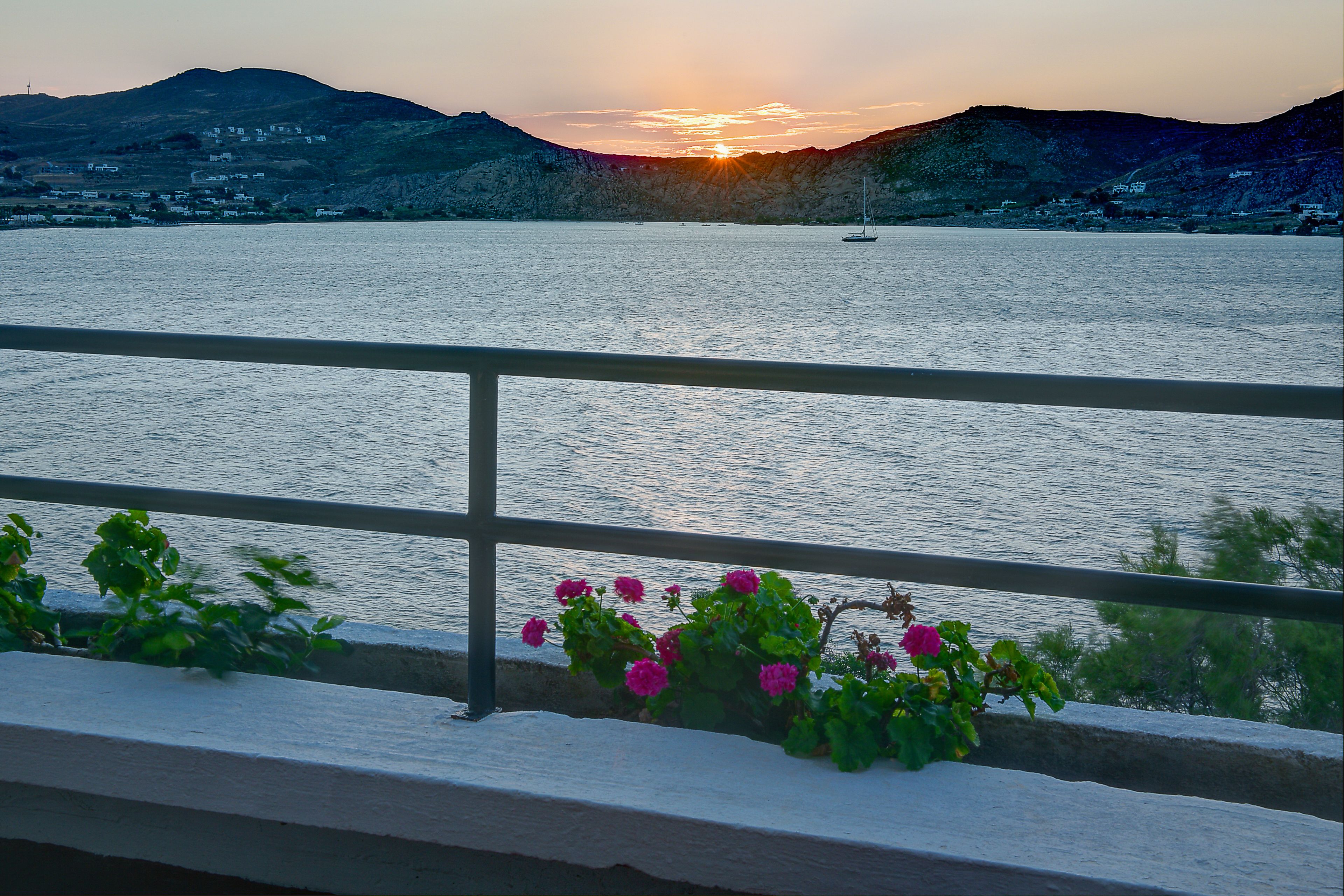 Vista al agua con barandilla, flores y un atardecer sobre el mar.