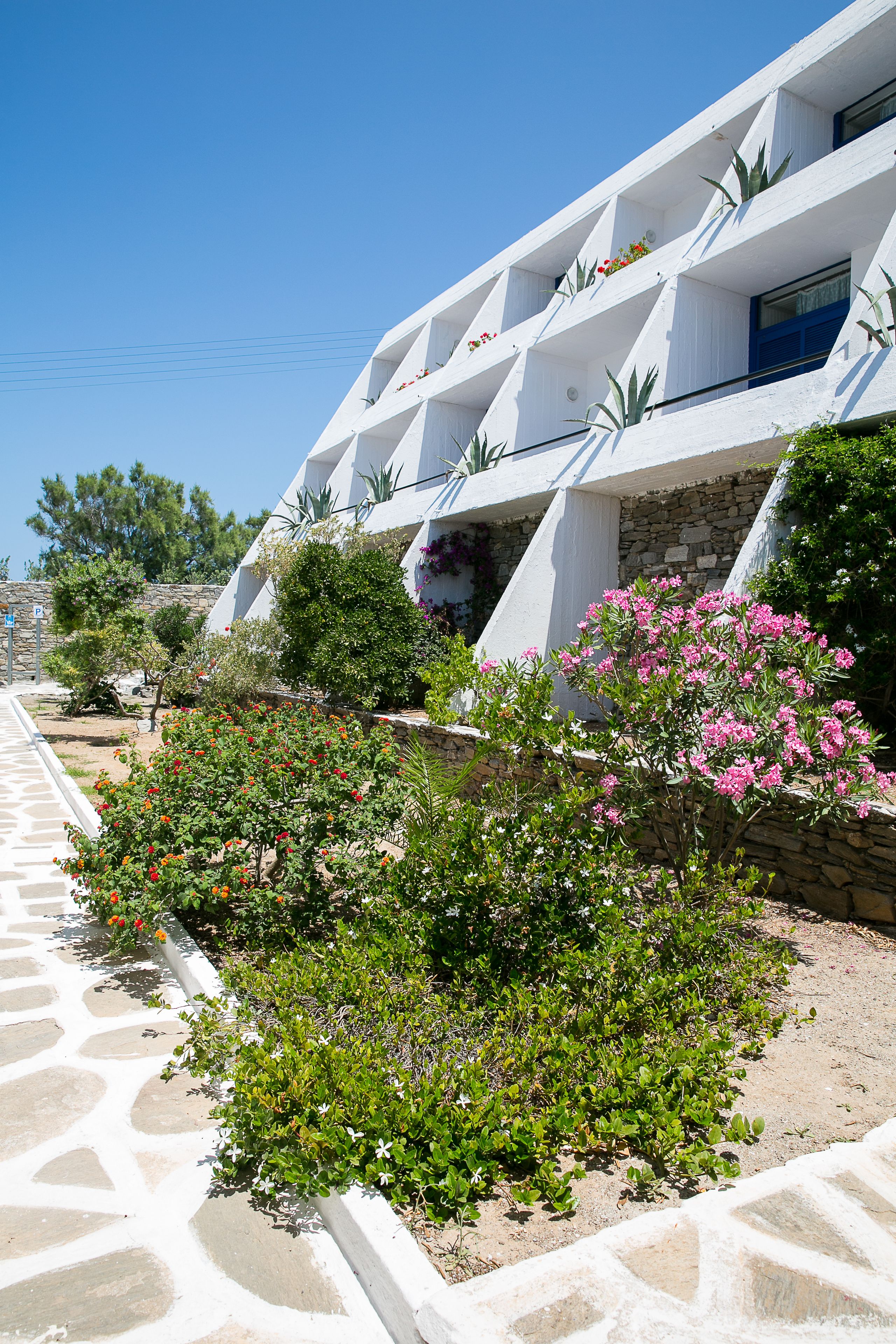 Foto - Hippocampus Hotel