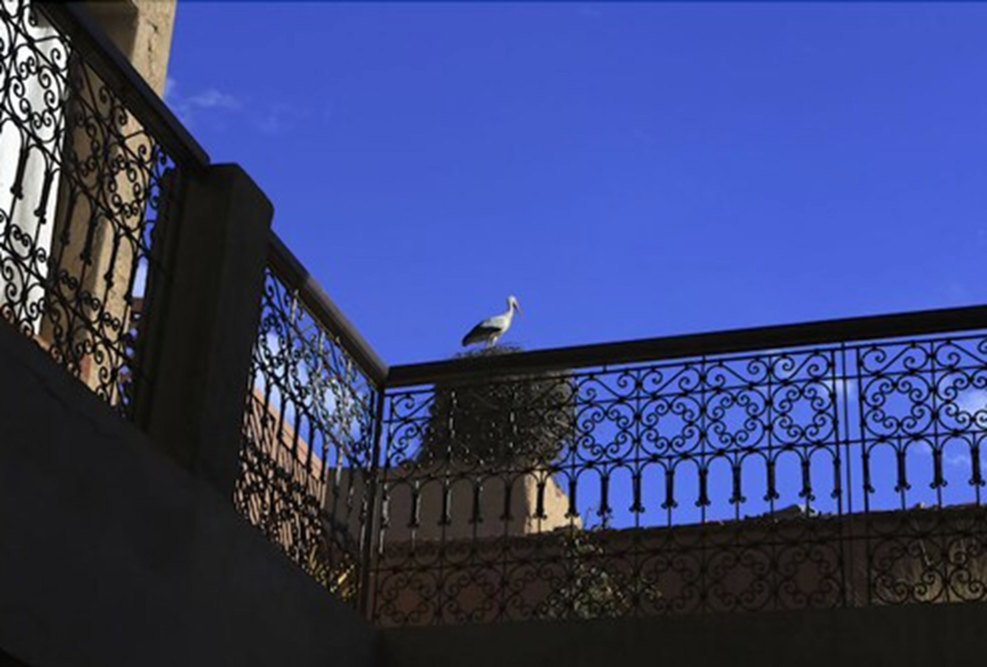 Photo - Riad Aladdin