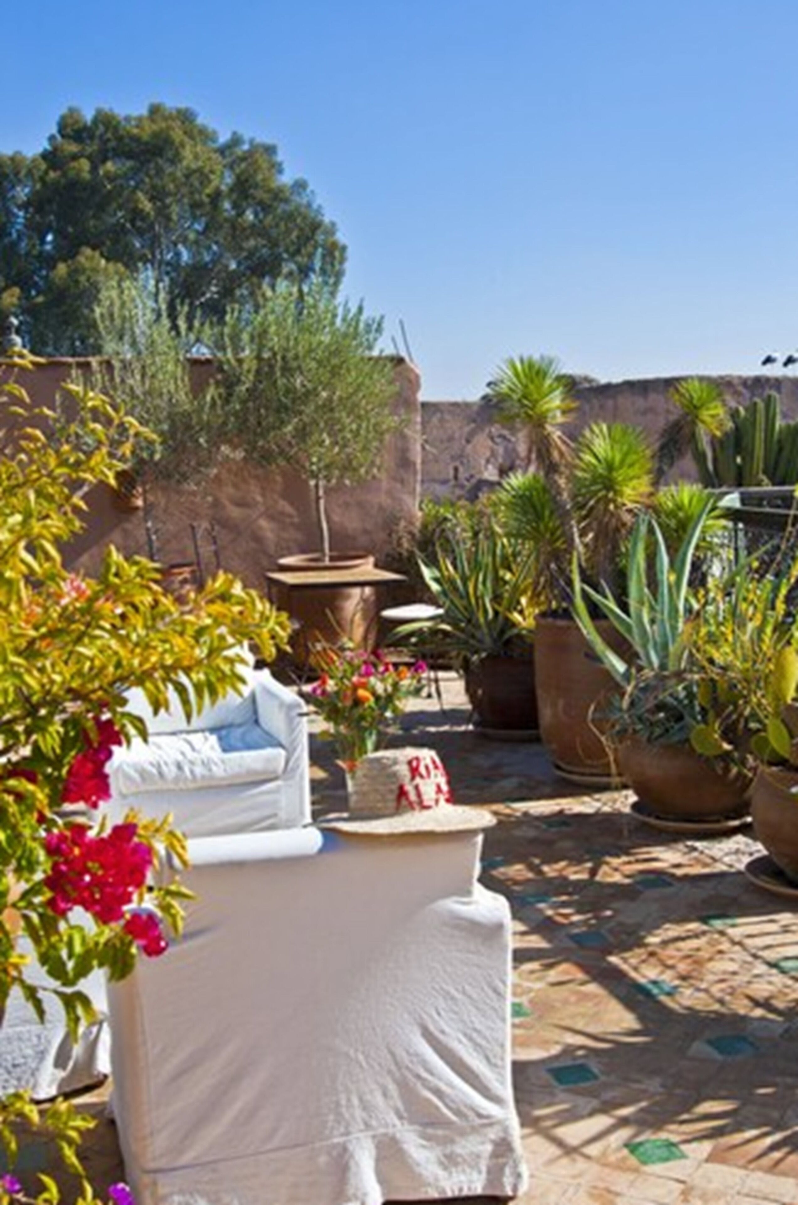 Photo - Riad Aladdin