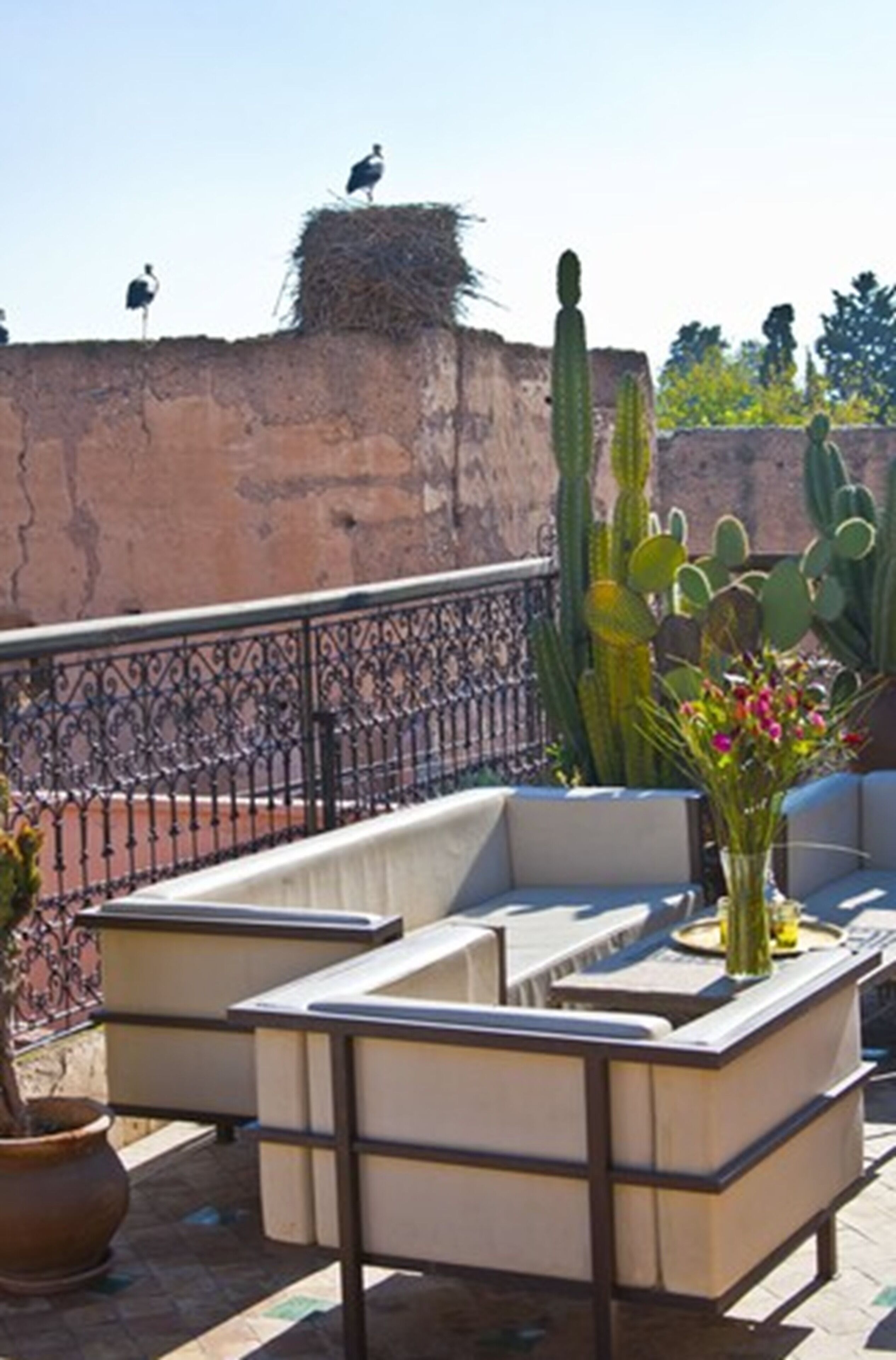 Photo - Riad Aladdin