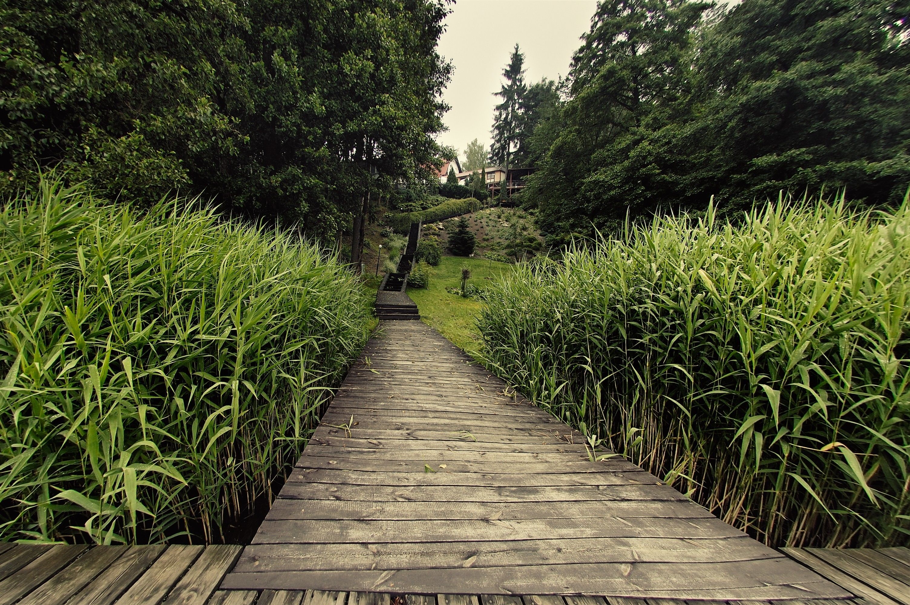 Beach volleyball, kayaking, rowing, fishing