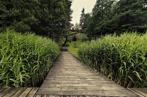 Beach-volley, kayak, canoë, pêche sur place