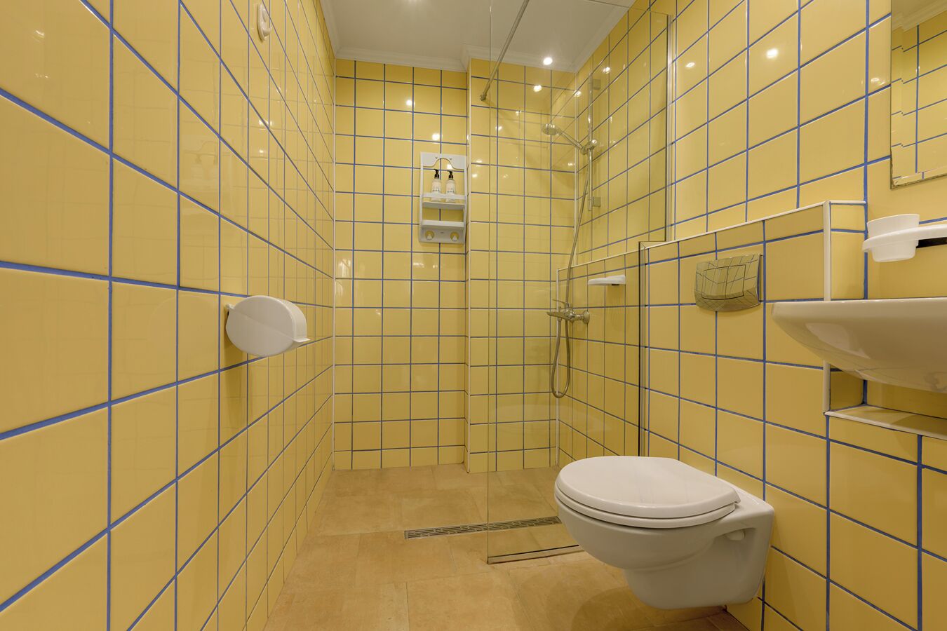 separate bathtub and shower, free toiletries, towels, soap