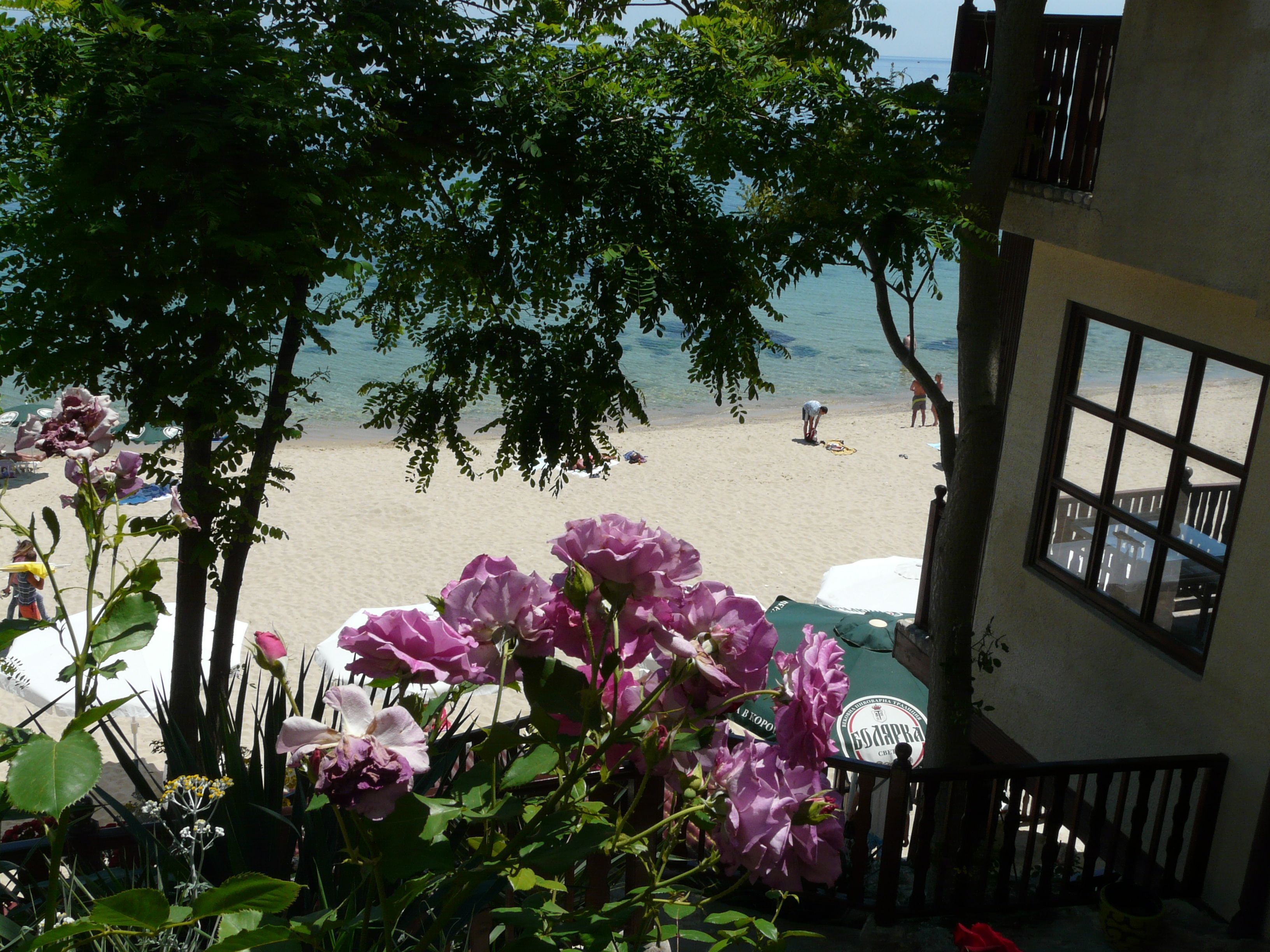 A view of a beach with a building in the foreground.