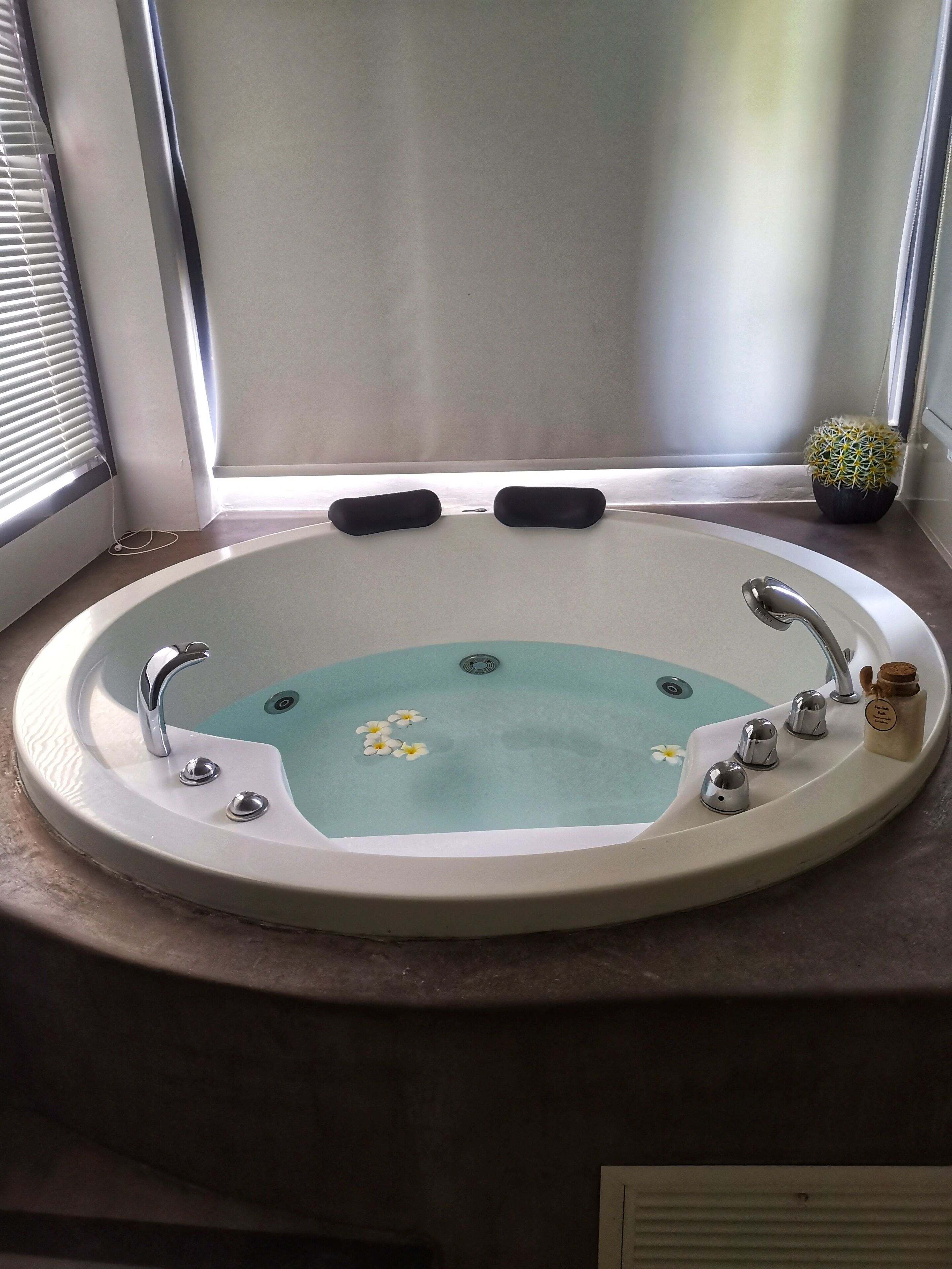 Una bañera con desagüe, grifo y una planta pequeña al lado.