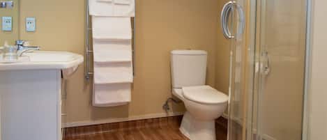 Departamento familiar, 2 habitaciones | Baño | Amenidades de baño ecológicas, secadora de cabello, toallas