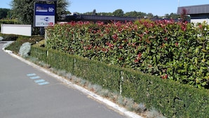 A motel sign with a 'No Vacancy' notice, a 50+ sign, and a free Wi-Fi offer. - ASURE Adcroft Motel (Ashburton)