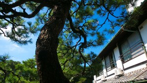 A traditional building with a tiled roof and a large tree in front. - Ryokan Wataya (Karatsu)