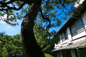 Garden - Ryokan Wataya (Karatsu)