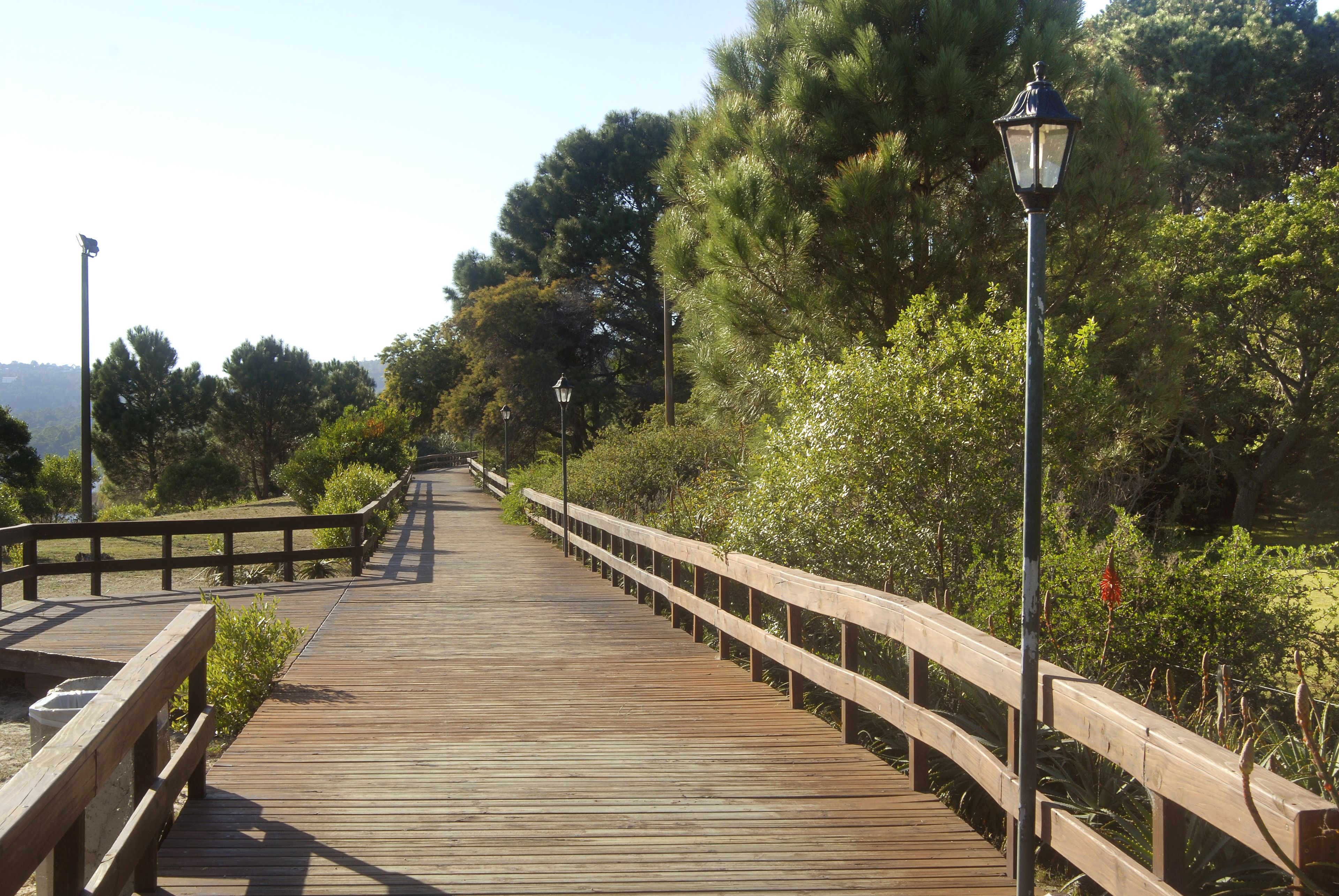 Photo - Hotel del Lago Golf & Art Resort