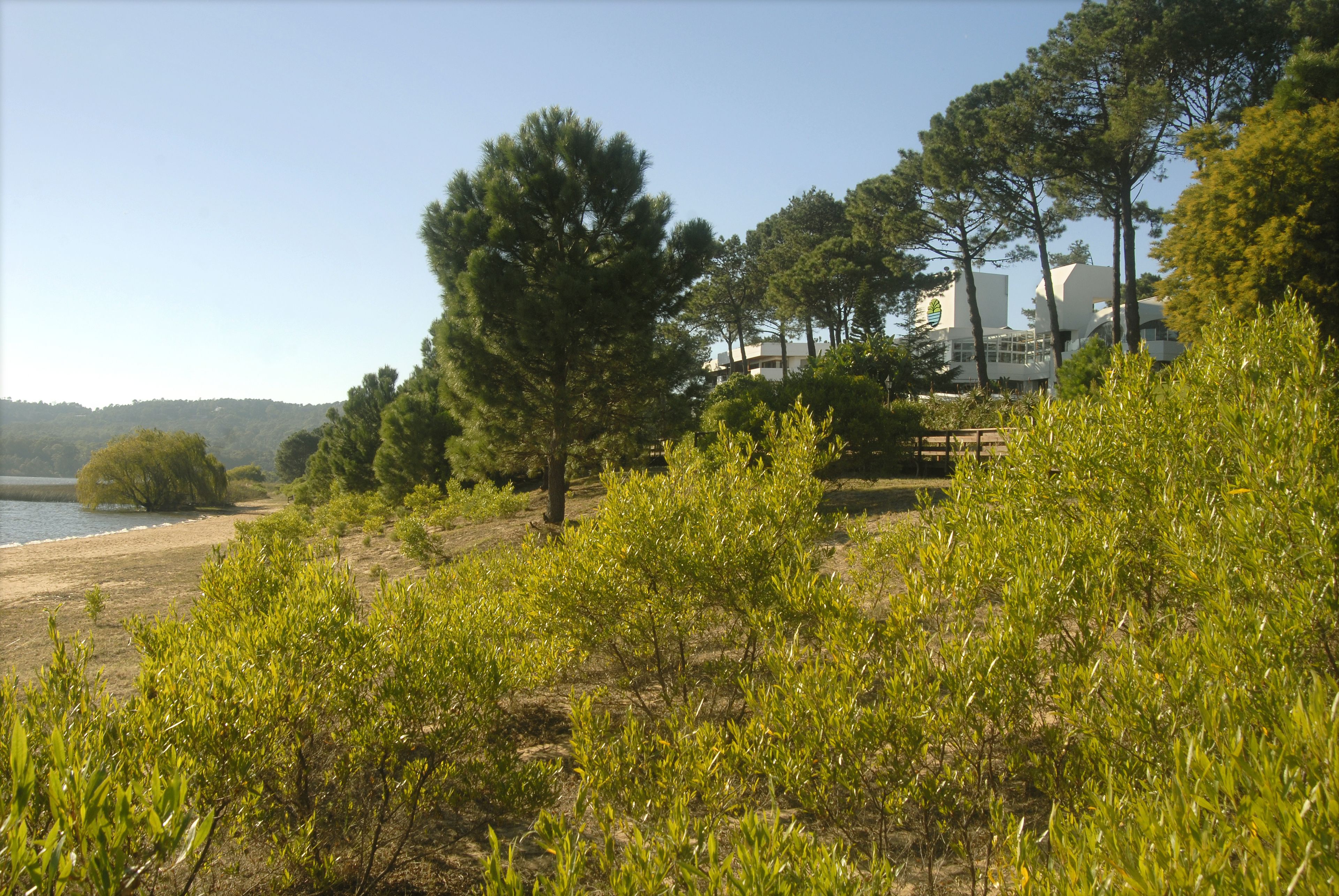 Un paisaje costero con playa, vegetación densa y edificios modernos al fondo.