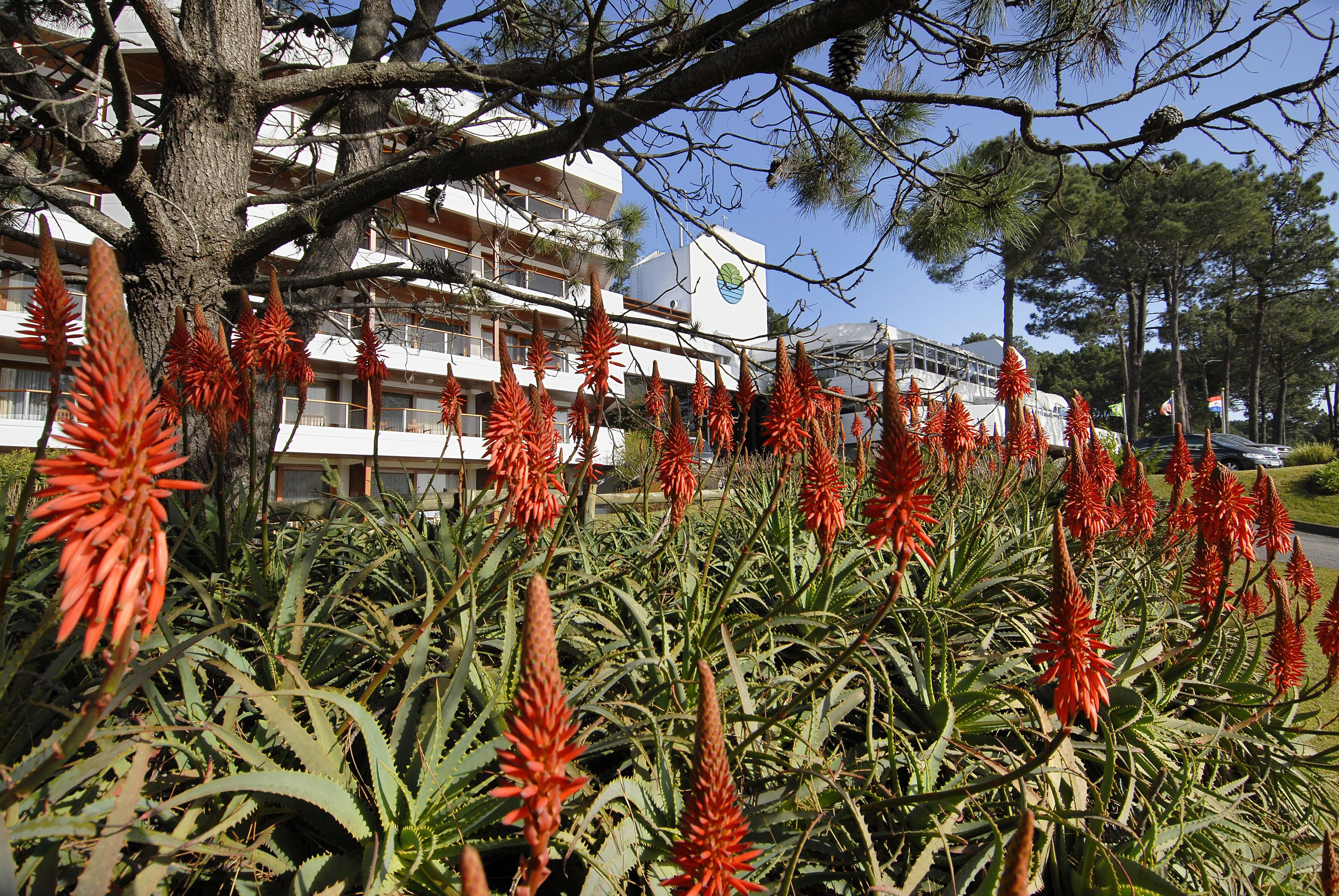 Photo - Hotel del Lago Golf & Art Resort