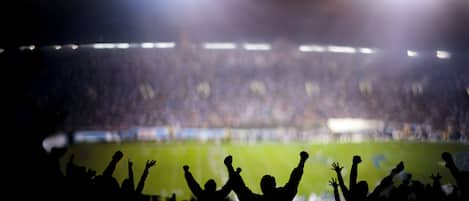 A stadium filled with spectators.