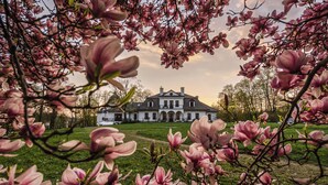 A large, stately building with a symmetrical facade and a central entrance, surrounded by a well-maintained lawn and blooming magnolia trees.