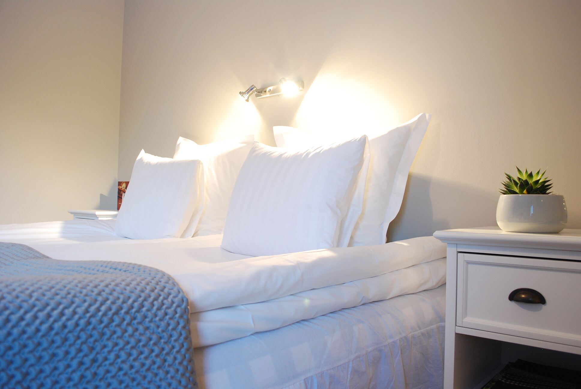 A neatly made bed with white linens and pillows, a bedside table with a plant, and a wall-mounted light fixture.