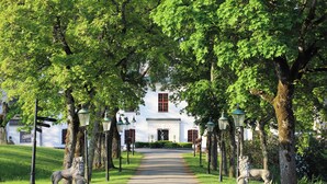 A pathway leading to a white building with a red window, flanked by trees and street lamps. - Häringe Slott (Vasterhaninge)