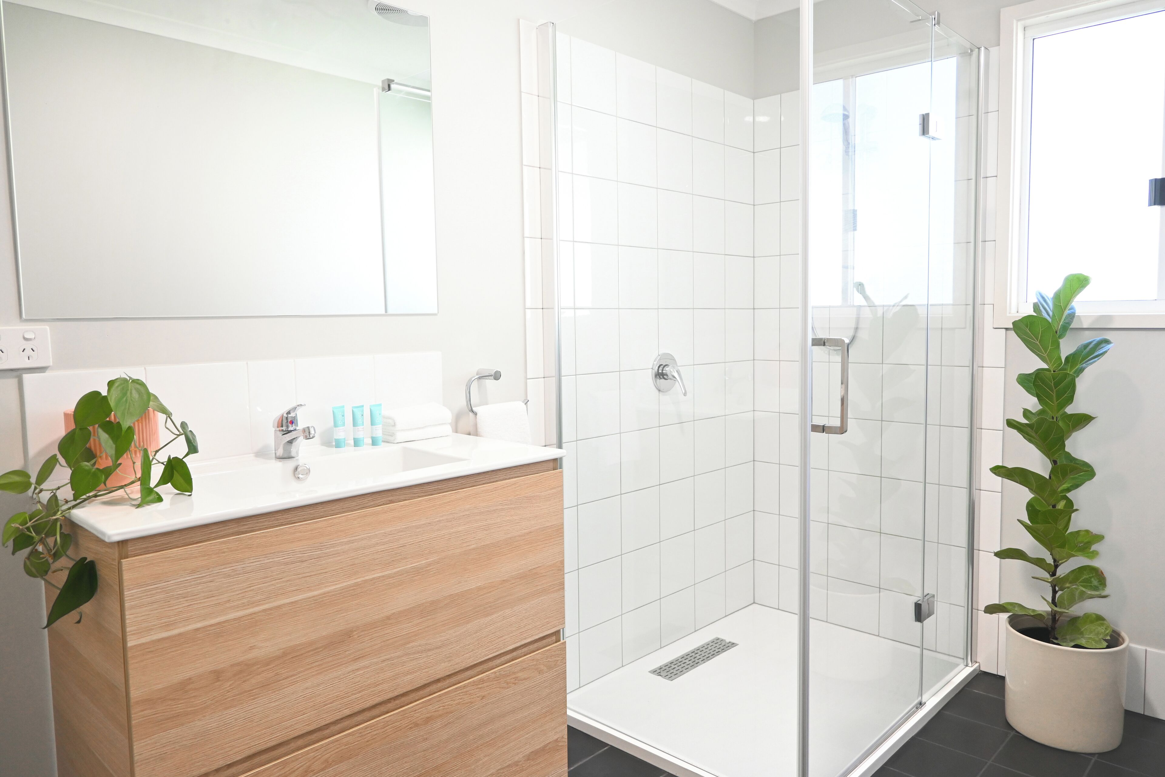 Shower, hair dryer, towels