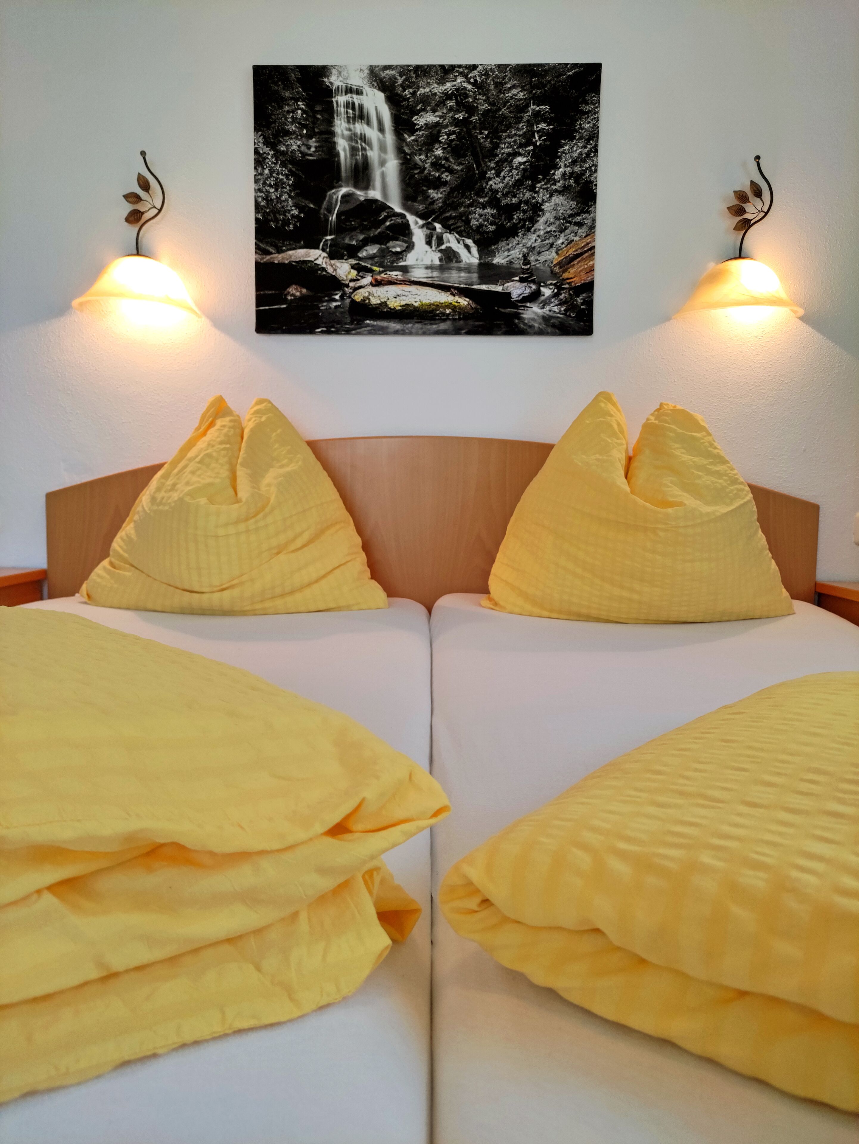 A bed with two pillows and a blanket, a wall-mounted picture of a waterfall, and two wall-mounted lamps.
