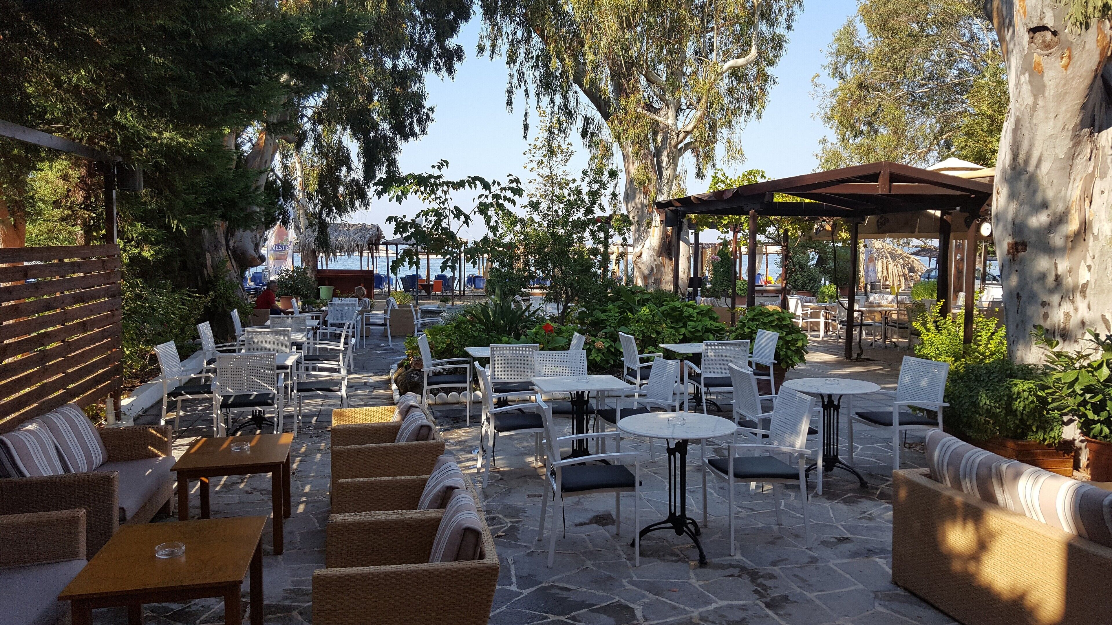 british cuisine, beach views