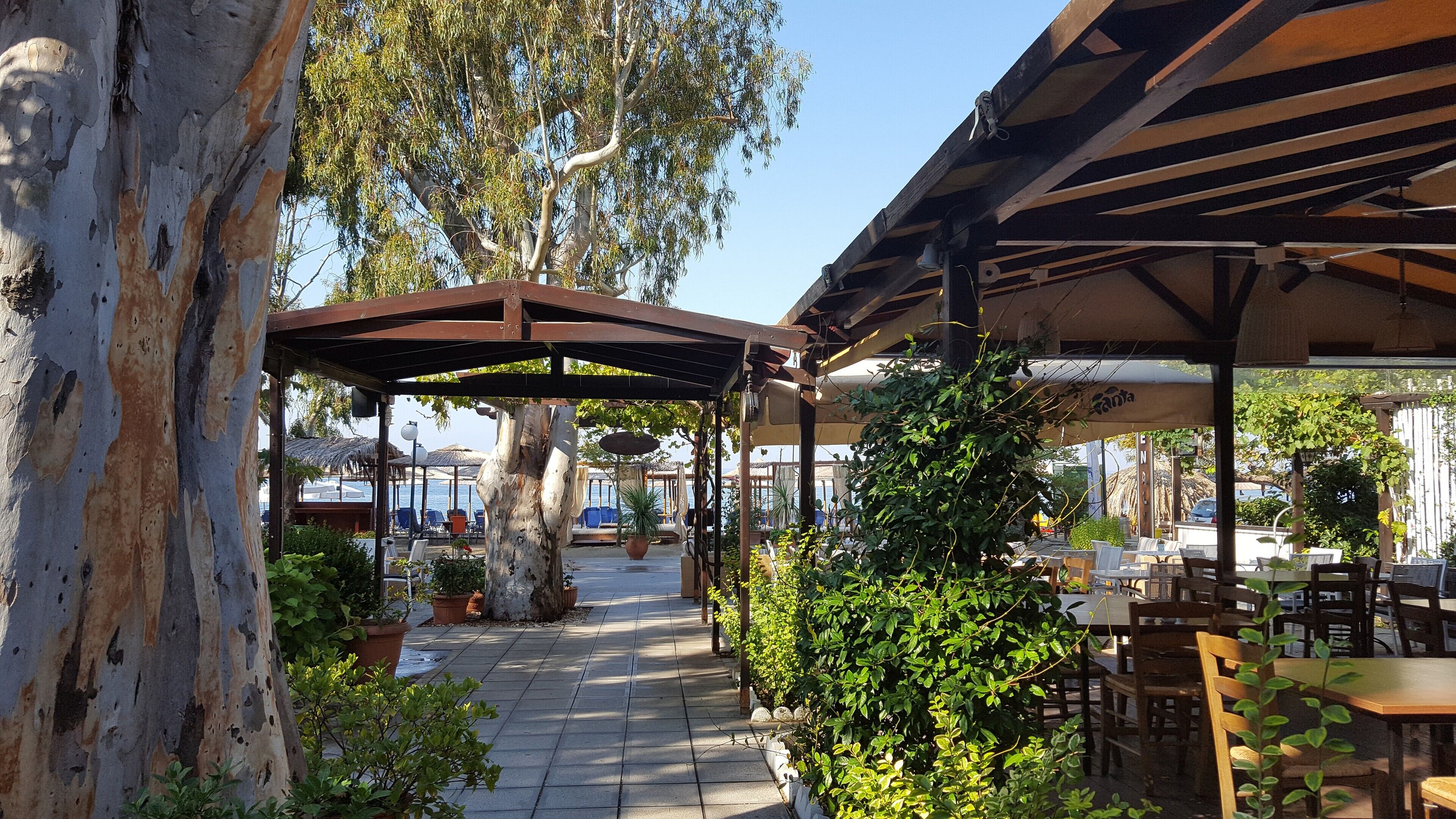 british cuisine, beach views