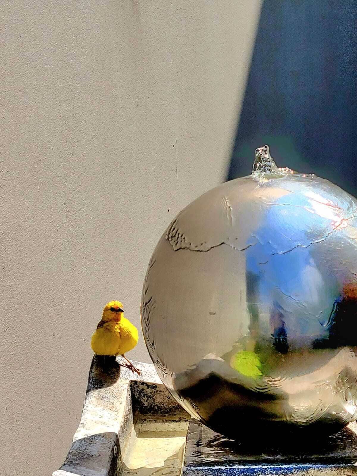 Foto - 3B Barranco by Katari Hoteles