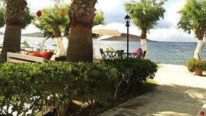 Un espacio al aire libre frente al mar con palmeras, una farola y vistas al océano.
