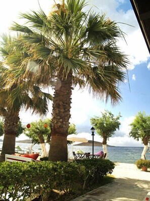 On the beach, snorkelling - Yilmaz Hotel (Bodrum)