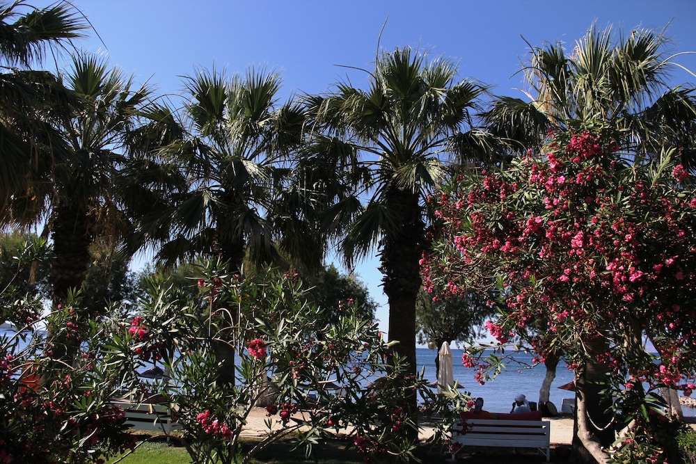 Yılmaz Hotel | Bodrum Ortakent Otelleri by null