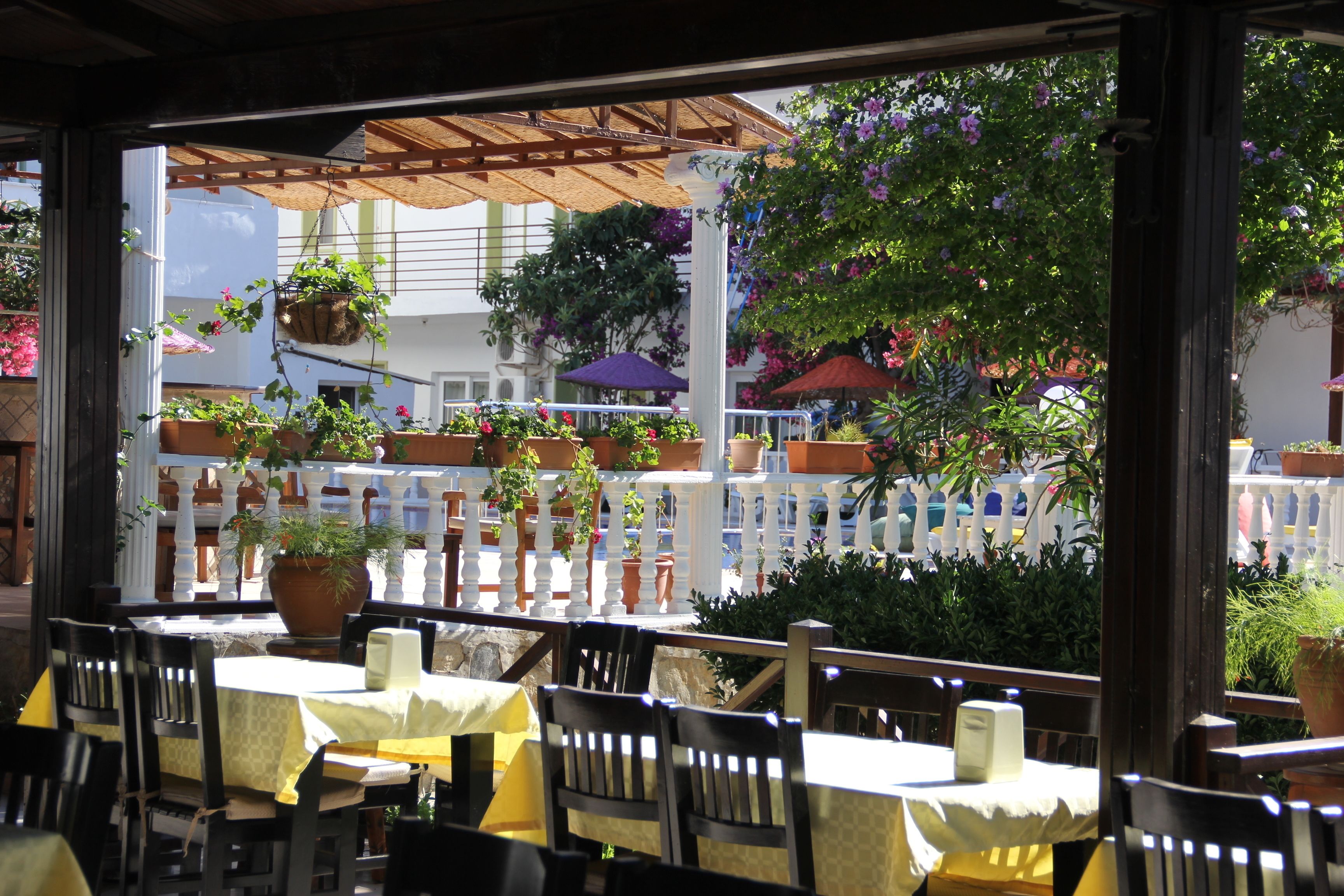 تناول الطعام بالخارج