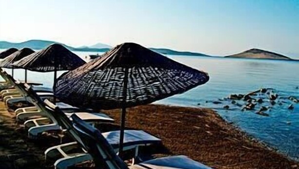 Fila de sillas de playa con sombrillas de paja, mar tranquilo y montañas a lo lejos.