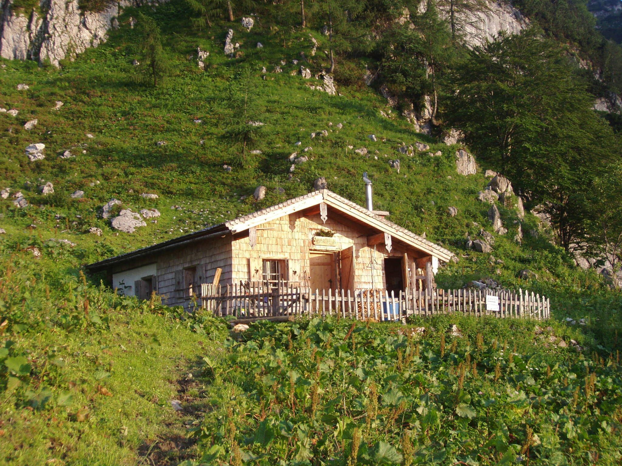 A rustic wooden cabin with a sloped roof, surrounded by lush greenery and rocky terrain.