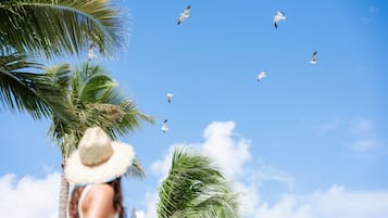 A palm tree and a person wearing a hat.